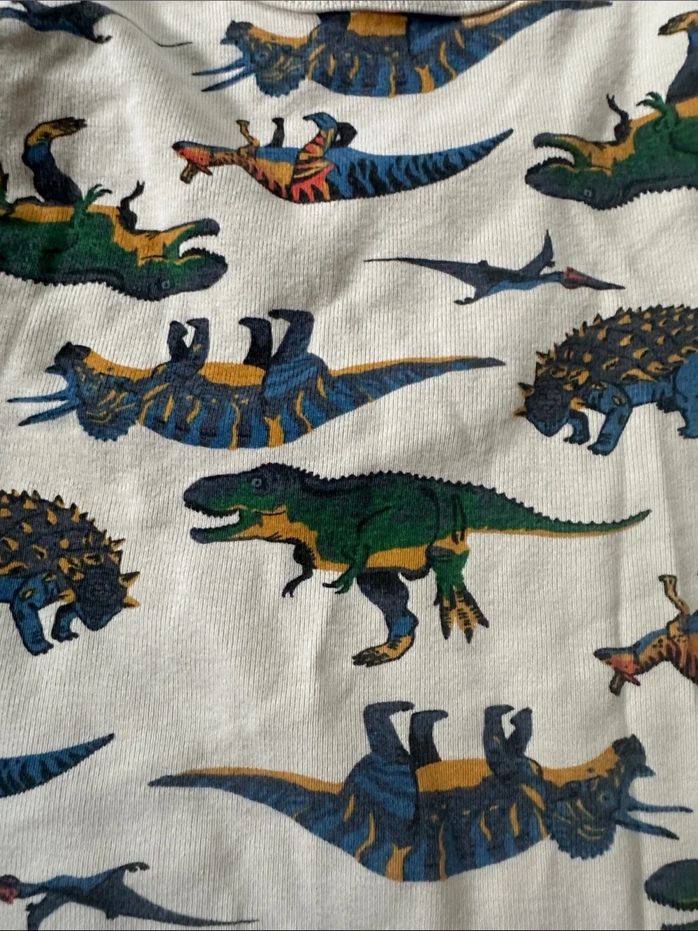 Hannah Andersson Pajamas Size 5
